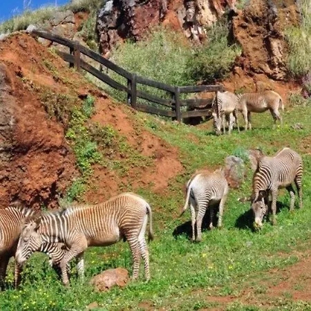 Ciudad De Petra サンティリャーナ・デル・マル