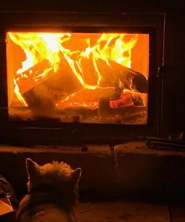 アパート Ciudad De Petra サンティリャーナ・デル・マル