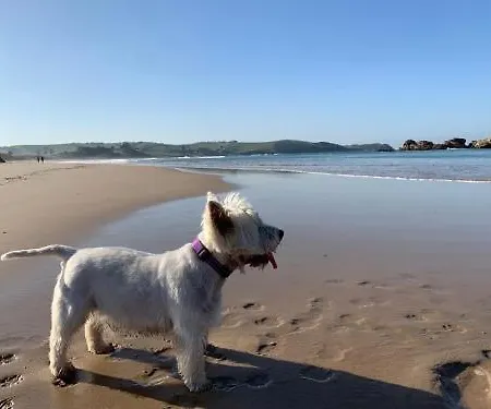 Ciudad De Petra Апартаменты Сантильяна-дель-Мар