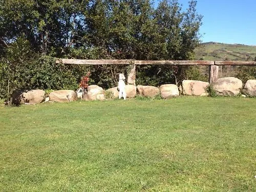 Apartment Ciudad De Petra