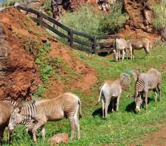 Ciudad De Petra Santillana del Mar