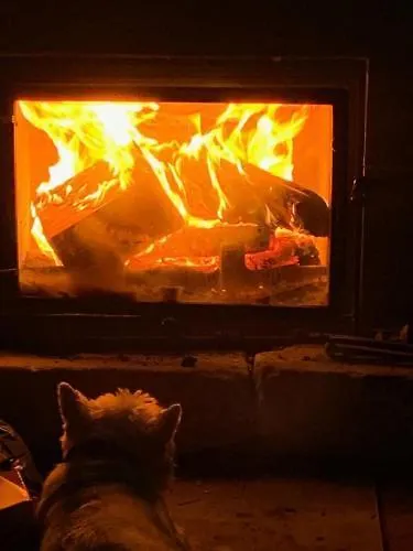 Apartment Ciudad De Petra Santillana del Mar