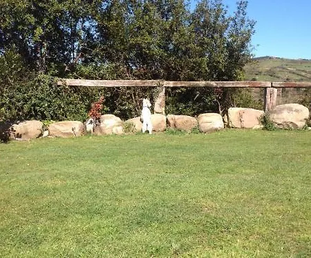 Appartement Ciudad De Petra