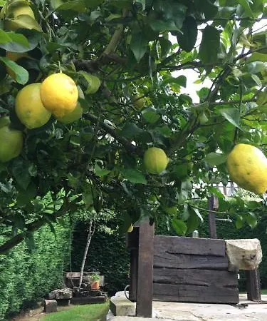 Appartement Ciudad De Petra *