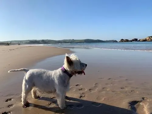 Ciudad De Petra Lejlighed Santillana del Mar