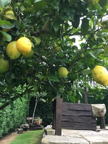 Lejlighed Ciudad De Petra *